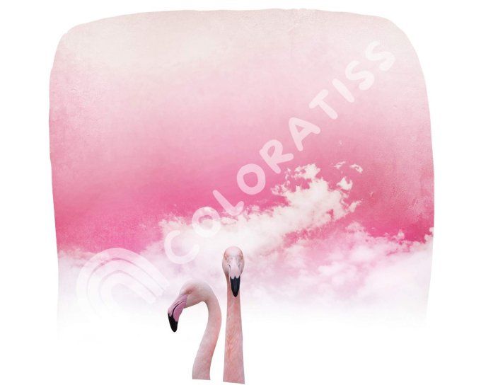 Jersey impression digitale Flamant rose panneau 70 Stenzo