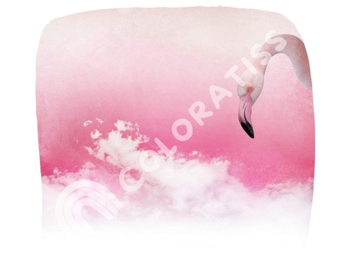 Jersey impression digitale Flamant rose panneau 70 Stenzo